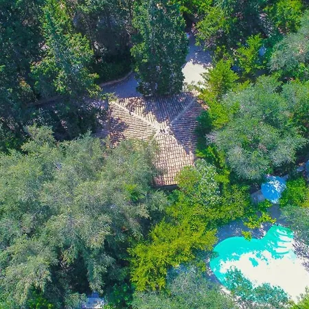 Lili Luxury Villa